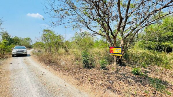 Empty land _photo