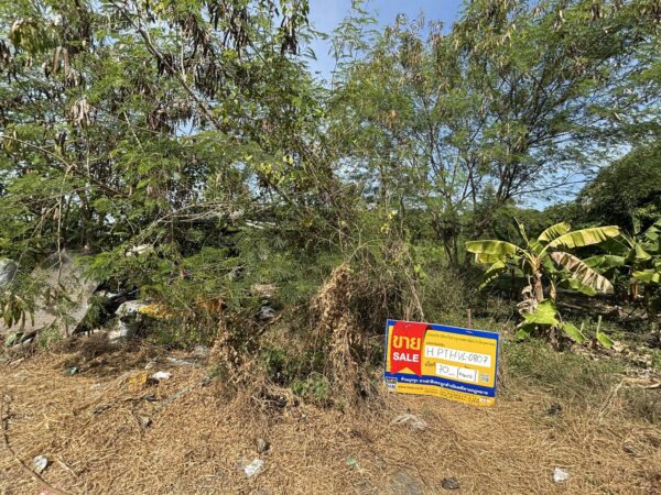 Empty land _photo
