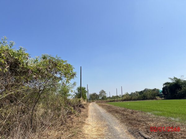Empty land _photo