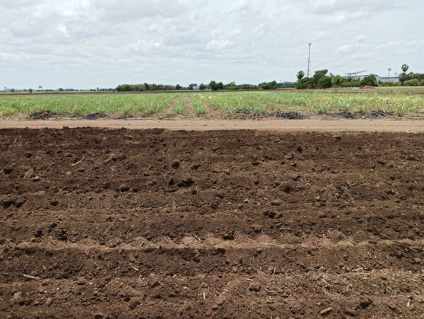 Empty land _photo