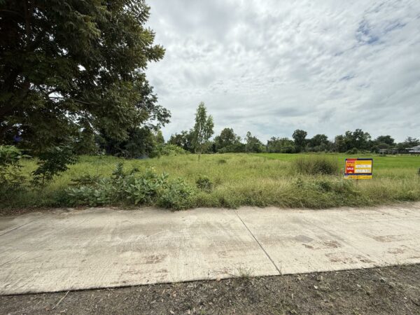 Empty land _photo
