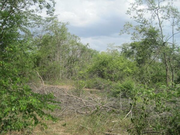 Empty land _photo