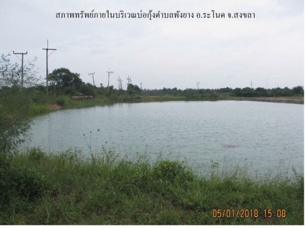 Empty land _photo