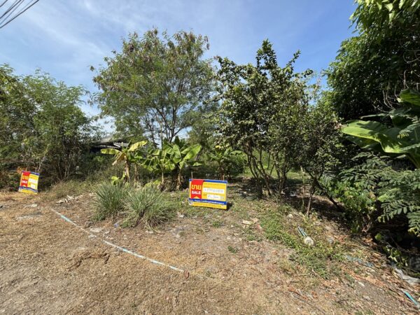 Empty land _photo