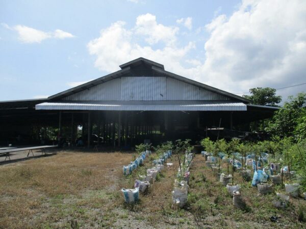 Covering building, Lamphun _photo