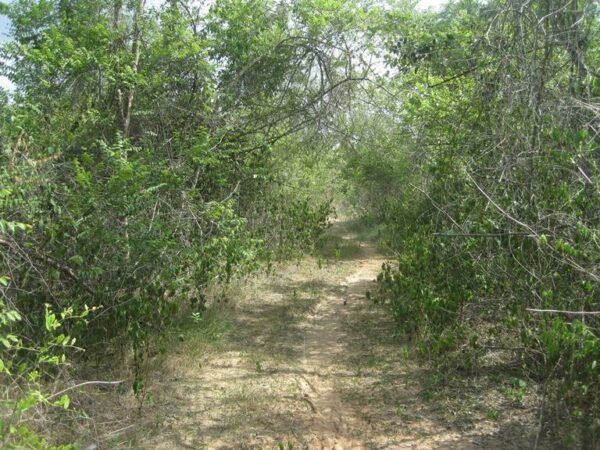 Empty land _photo