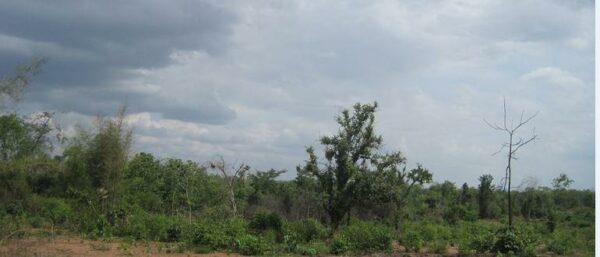 Empty land _photo