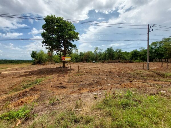 Empty land _photo