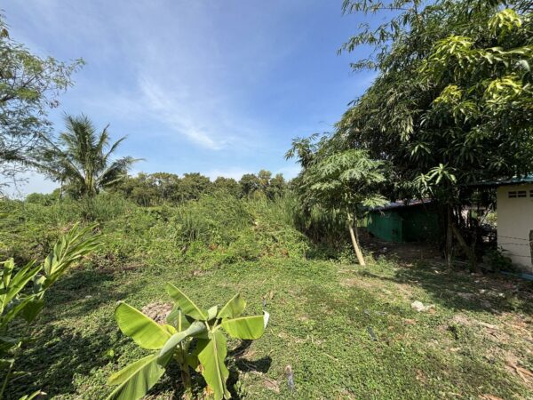 Empty land _photo