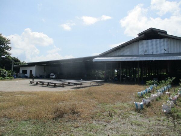 Covering building, Lamphun _photo