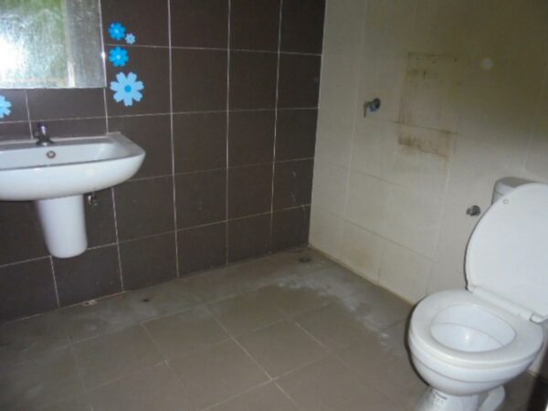 Pruksa Village 67 _photo