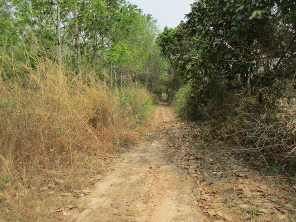 Single house, Udon Thani _photo
