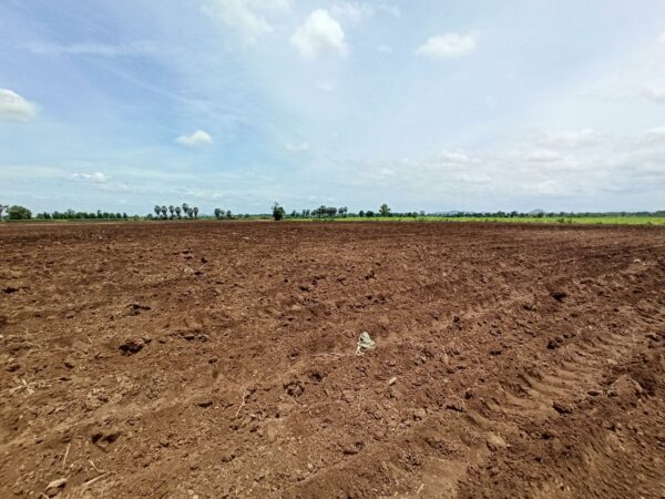 Empty land _photo