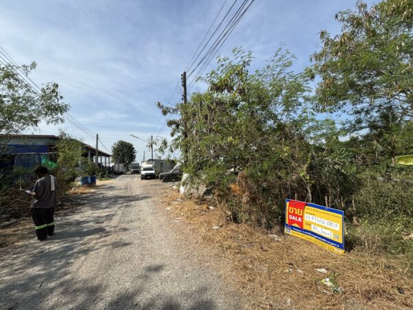 Empty land _photo