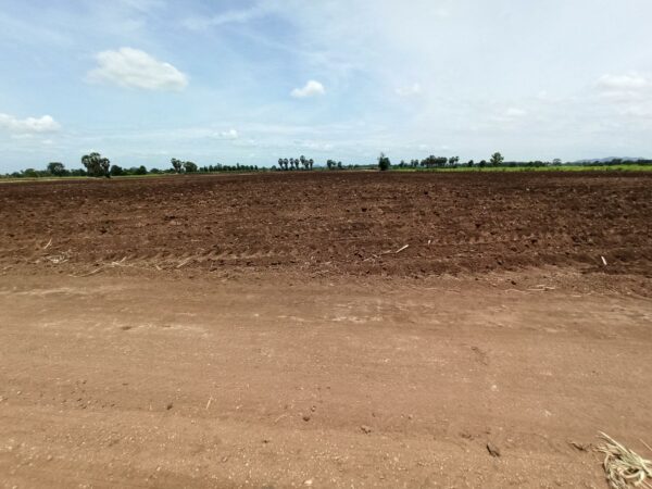 Empty land _photo