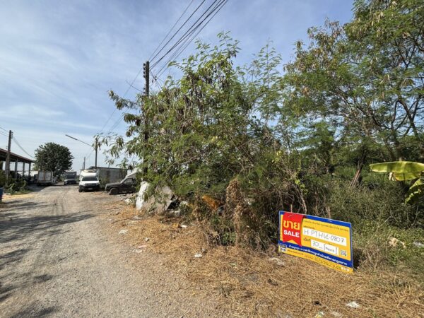 Empty land _photo