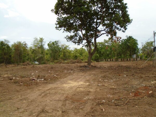 Empty land _photo