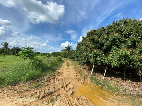 Empty land _photo