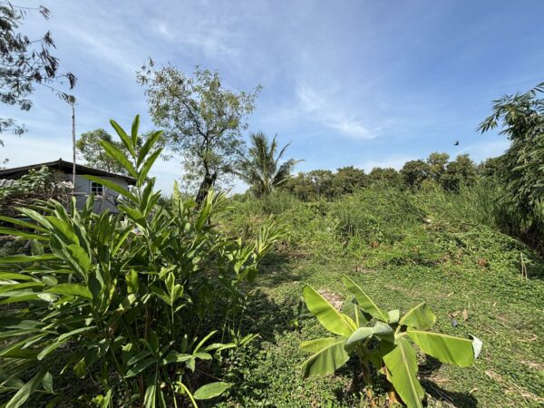 Empty land _photo