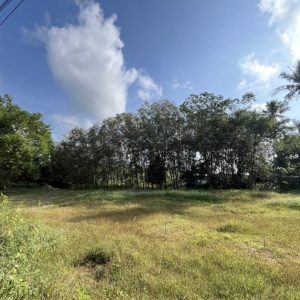 01 ที่ดินว่างเปล่า | สงขลา หาดใหญ่ น้ำน้อย | 01-66-02392