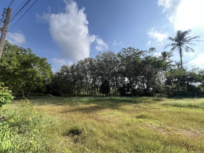 Real Estate from Banks _photo