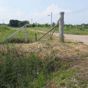 01 ที่ดินว่างเปล่า | นครปฐม ดอนตูม ลำลูกบัว | 01-66-02395