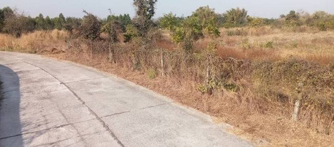 Real Estate from Banks _photo