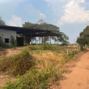 12 โกดัง | อำนาจเจริญ ชานุมาน ชานุมาน | 12-66-01421