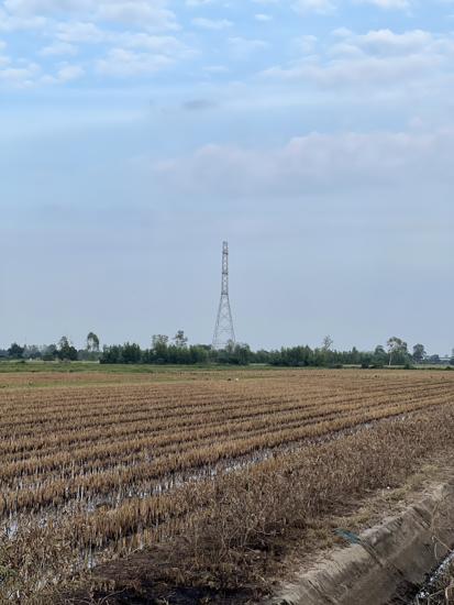 Real Estate from Banks _photo