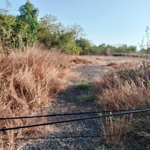 01 ที่ดินว่างเปล่า | ร้อยเอ็ด จตุรพักตรพิมาน หัวช้าง | 01-66-02011