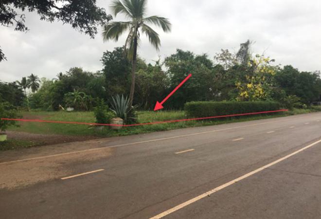 Real Estate from Banks _photo