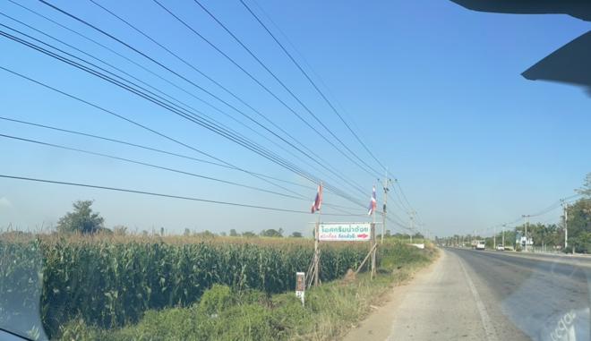 Real Estate from Banks _photo