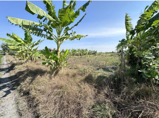 Real Estate from Banks _photo