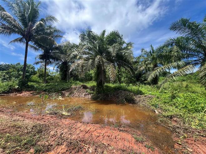 Real Estate from Banks _photo