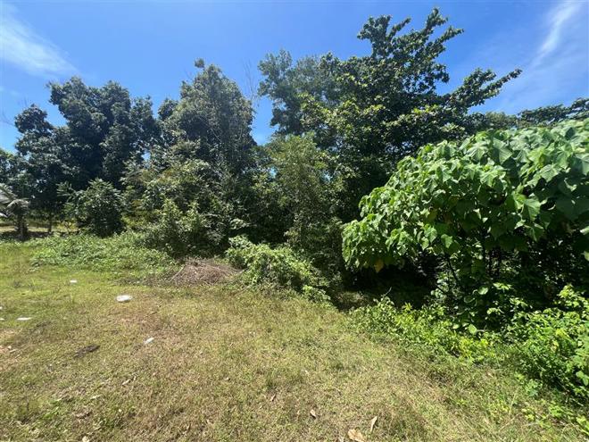 Real Estate from Banks _photo