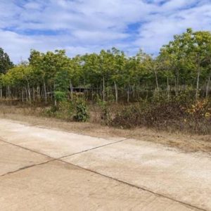 01 ที่ดินว่างเปล่า | สกลนคร วานรนิวาส ศรีวิชัย | 01-66-02032