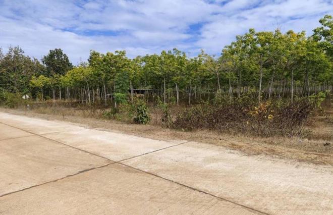 Real Estate from Banks _photo