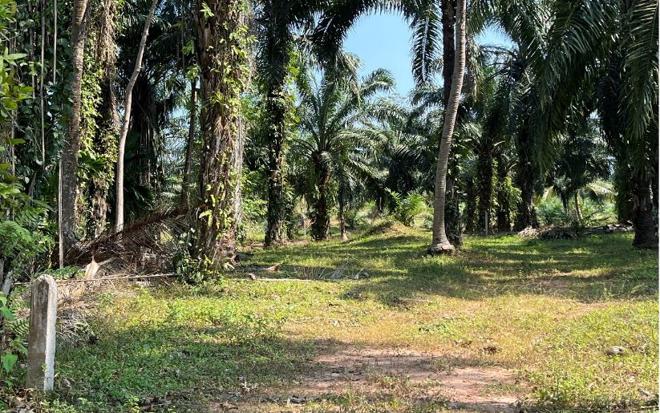 Real Estate from Banks _photo