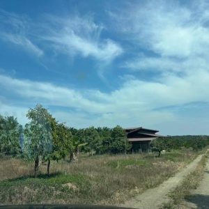 01 ที่ดินว่างเปล่า | ชุมพร ท่าแซะ ท่าแซะ | 01-66-02035