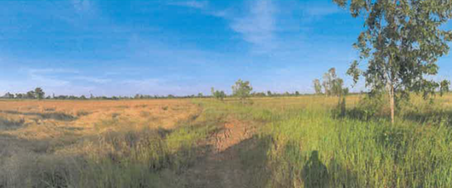 Real Estate from Banks _photo