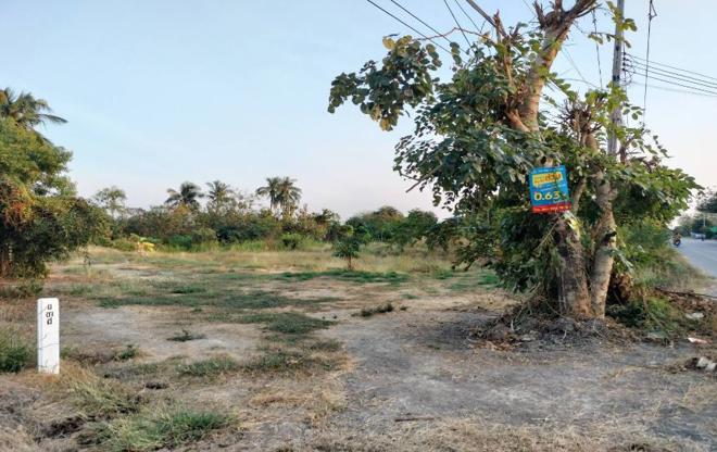 Real Estate from Banks _photo