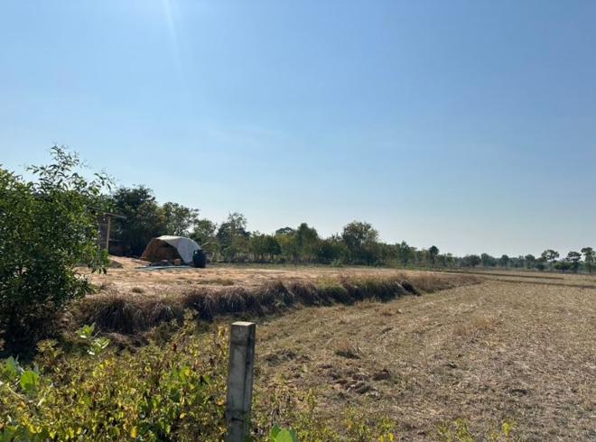 Real Estate from Banks _photo