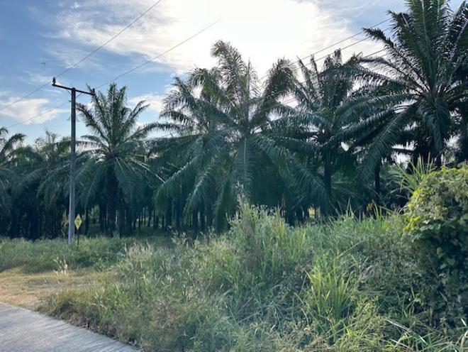 Real Estate from Banks _photo