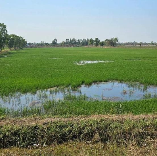 Real Estate from Banks _photo