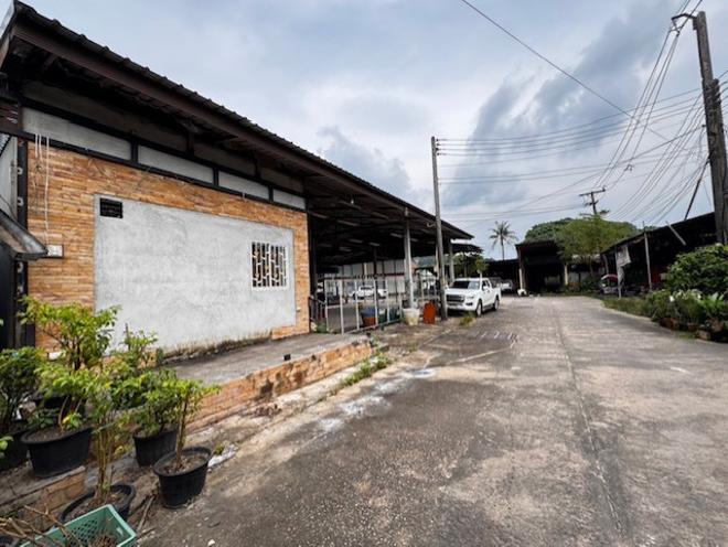 12 โกดัง | ชุมพร หลังสวน วังตะกอ | 12-66-01270