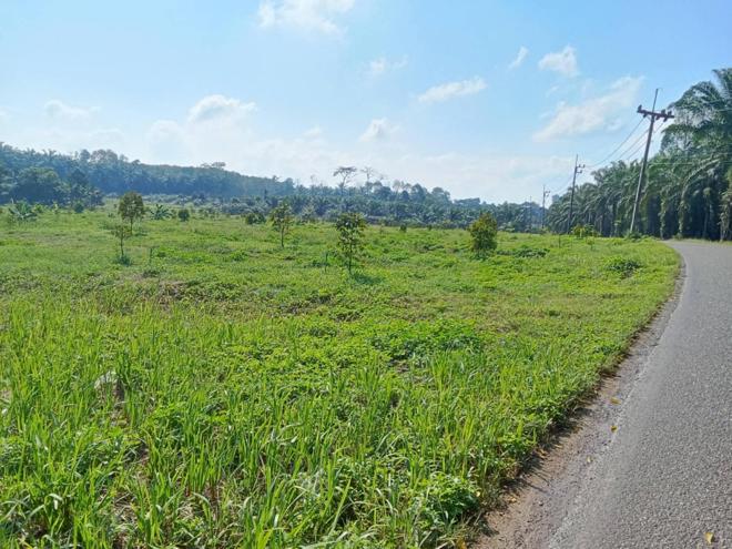 Real Estate from Banks _photo