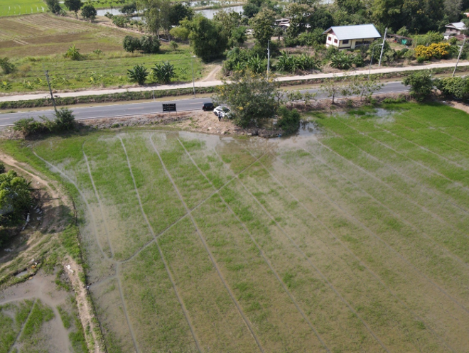 Real Estate from Banks _photo