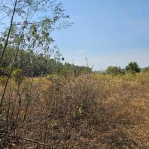 01 ที่ดินว่างเปล่า | พระนครศรีอยุธยา นครหลวง แม่ลา | 01-66-02053