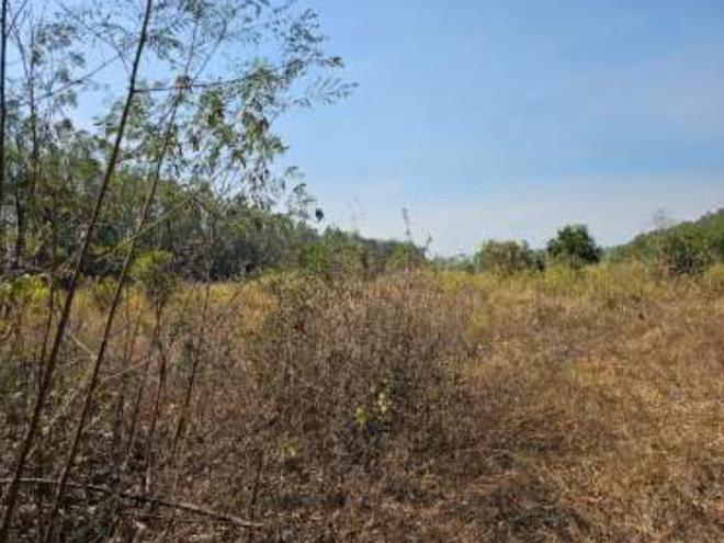 Real Estate from Banks _photo