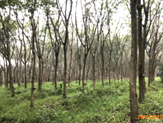 Real Estate from Banks _photo